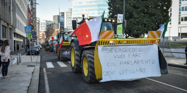 In piazza del Campidoglio.Il Coordinamento