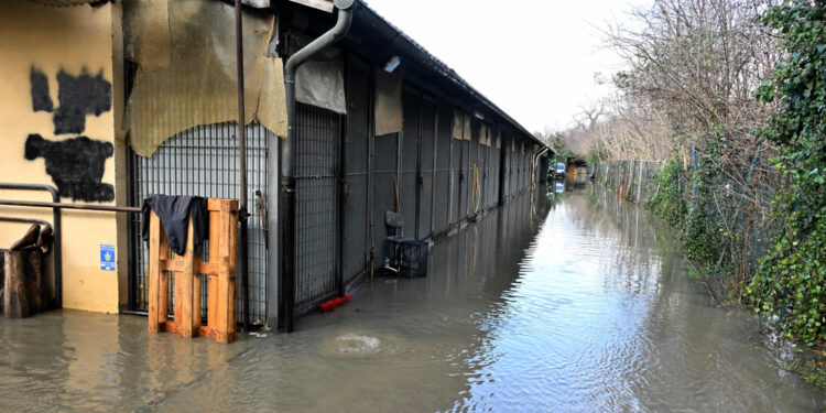 Acqua sale alle Cascine dove sono ricoverati i cavalli