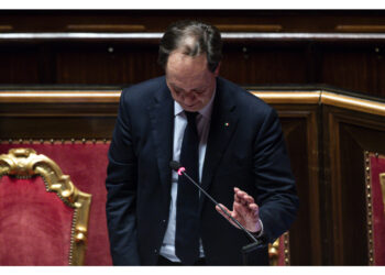 Il ministro al question time