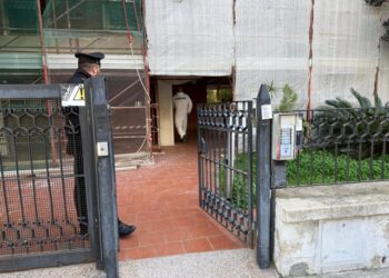 Accertamenti sui reperti trovati nella casa in via Ghibli