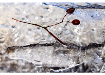 Dalla serata atteso crollo delle temperature