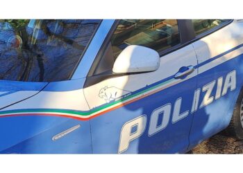 72enne arrestato per tentato omicidio a Torino