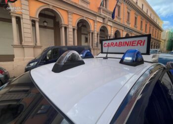 Operazione dei Carabinieri su disposizione della Dda di Potenza