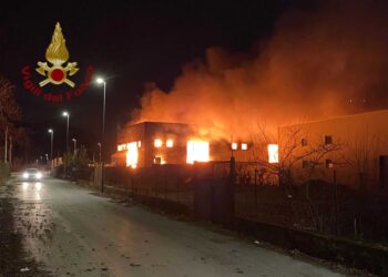 Vigili del fuoco in azione