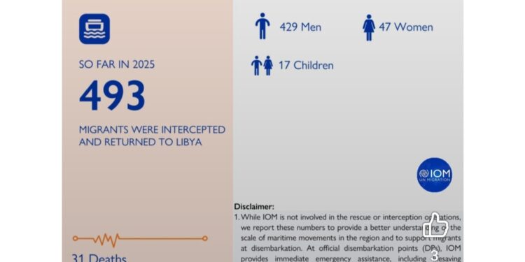 'Dall'inizio dell'anno 493 migranti riportati in Libia'