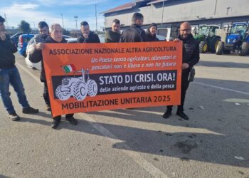 Manifestazioni con i trattori a Rosarno e nel Crotonese