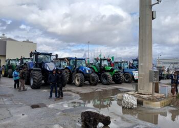 Agricoltori cercavano un'alleanza ma hanno trovato un 'no'