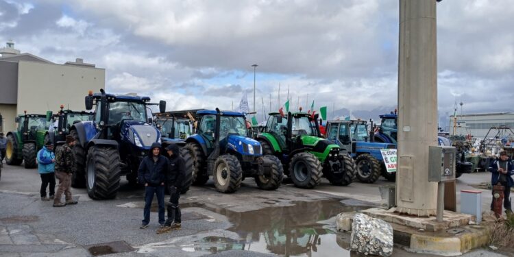 Agricoltori cercavano un'alleanza ma hanno trovato un 'no'