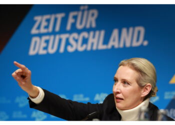 Lo annuncia Alice Weidel parlando al congresso dell'Afd