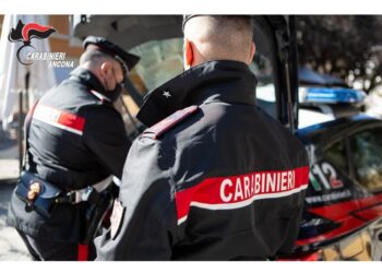 I carabinieri di Ancona lo fermano mentre tenta la fuga