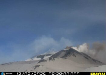 Nube cenere vulcanica verso N-E