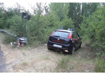 Un uomo denunciato in Brianza per occultamento di cadavere