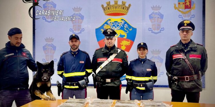 Bloccato da carabinieri e polizia stradale sull'autostrada