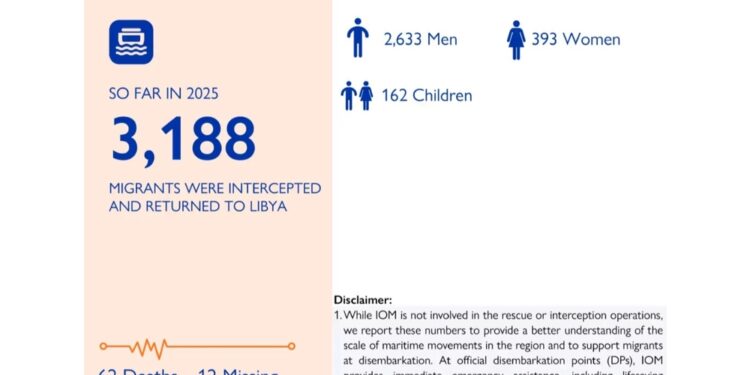 'Dall'inizio dell'anno 3188 migranti riportati in Libia'