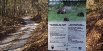 Trga Trento ha respinto 2 ricorsi delle associazioni animaliste