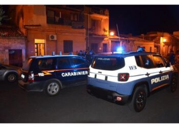 Polizia e carabinieri denunciano anche due persone