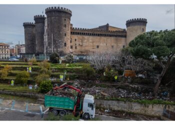 In piazza Municipio area verde di 500mq riconsegnata alla citta'