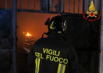 Procura: 'Inneschi azionati pacchi provenienti stessa impresa'