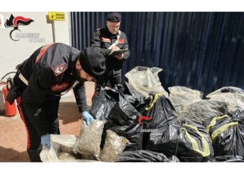 Operazione carabinieri a Catania