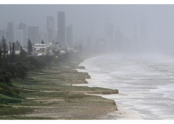 Nel Queensland e nel Nuovo Galles del Sud