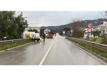 L'incidente all'alba a Fasano