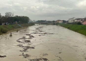 'Per troppi anni abbiamo dimenticato di farla'