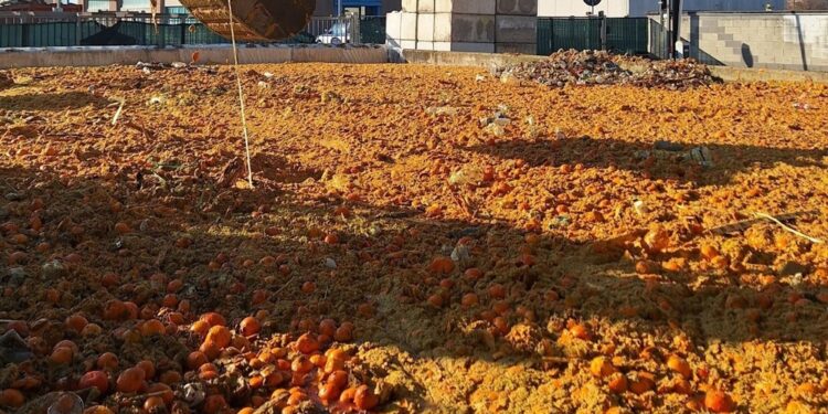 Trasformazione di Acea Pinerolese per 180 tonnellate di frutta