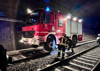 Torino e Savoia testano la protezione civile per la riapertura