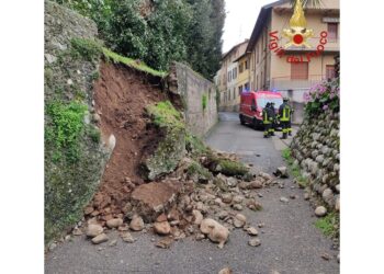 Intervento dei vigili del fuoco nel parco di Villa Somaini