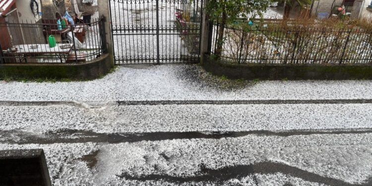 Un fulmine ha colpito un grosso albero a Venegono Superiore