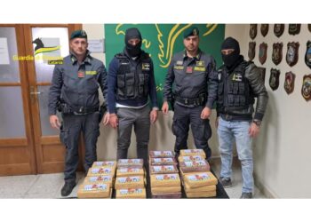 Gdf sequestra 215 kg di droga