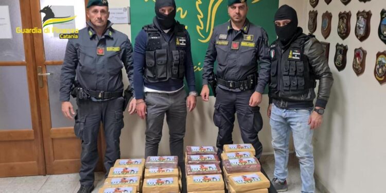 Gdf sequestra 215 kg di droga