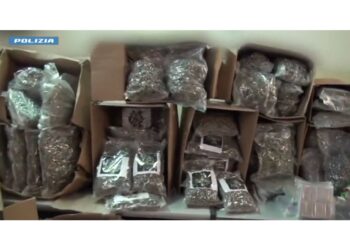 Sequestrato a Catania carico dalla Spagna di marijuana e hashish