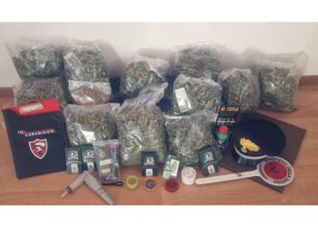 Sequestrati 9 chili di marijuana