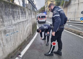 Sorellina rimase ferita gravemente