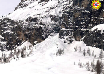 Soccorso alpino con unità cinofile sul posto