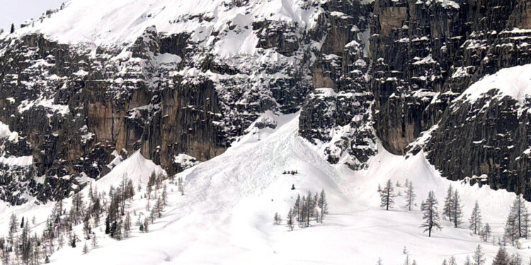 Sepolto sotto mezzo metro di neve